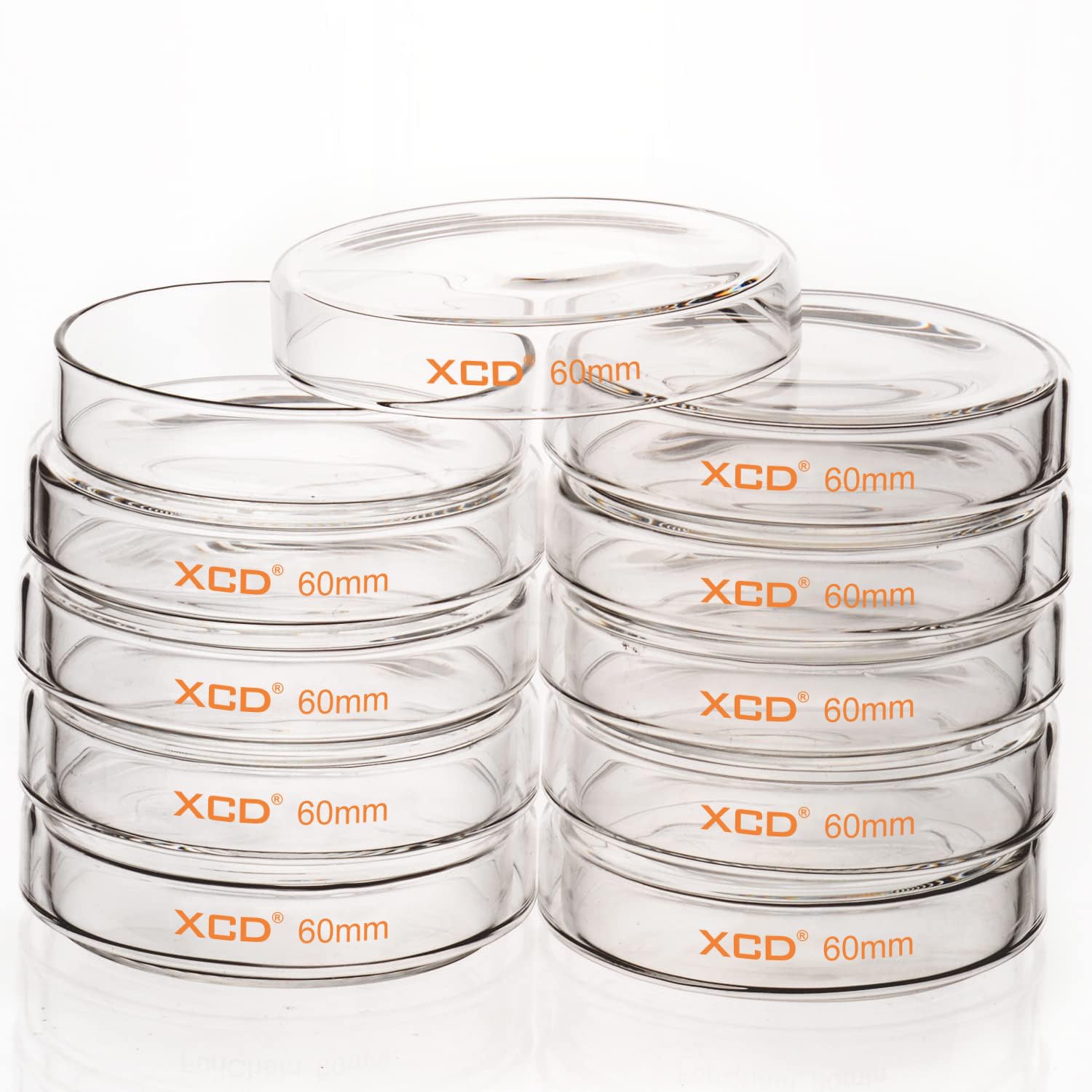 XCD 10 Pack Borosilicate Glass Petri Dishes, 60x15mm Autoclavable Lab Dishes with Clear Lid - Cell Culture, Microbiology, Laboratory Experiments, Science Classroom & Research Use