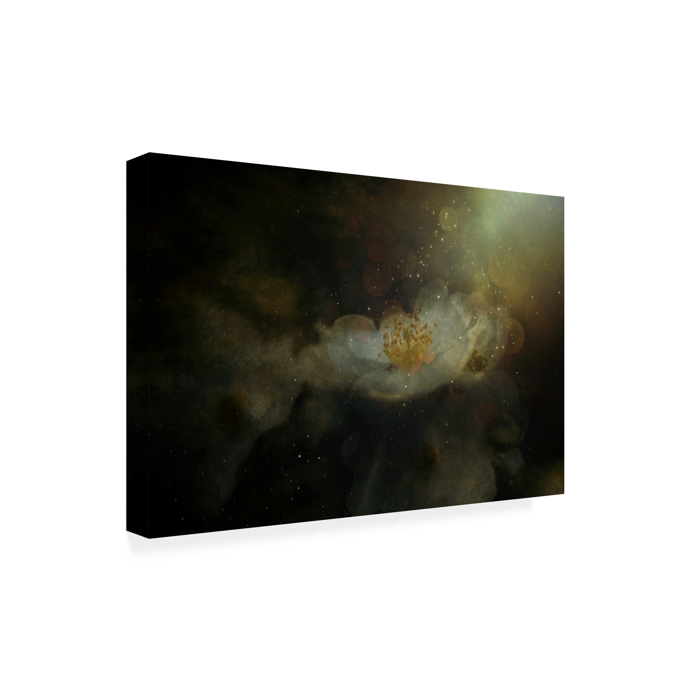 Trademark Fine Art 'Light Touches Softly' Canvas Wall Art by Cicek K?ral - Modern Abstract Painting for Living Room, Bedroom & Office Decor