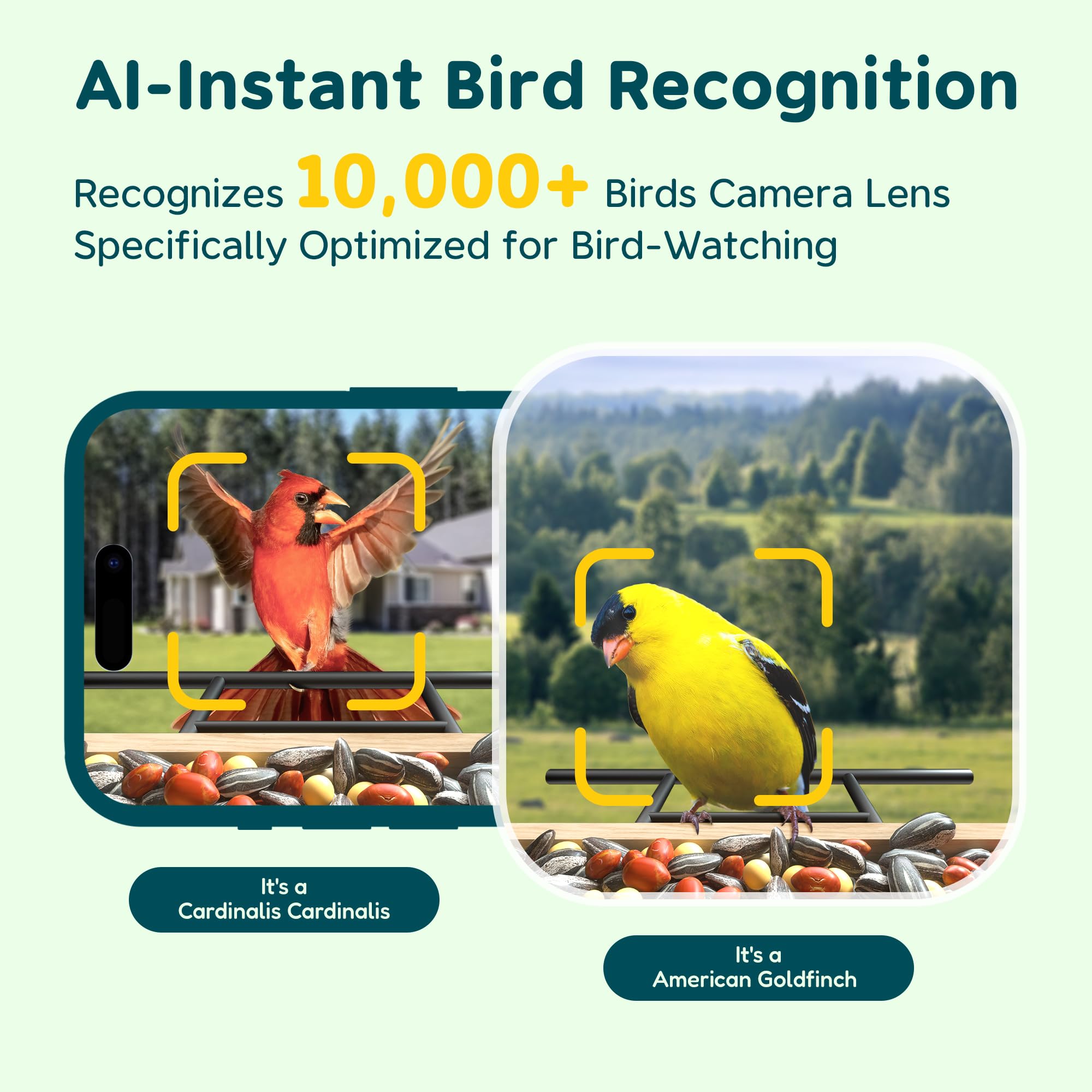 Solar Powered Smart Bird Feeder with Camera - 1.5L Capacity for Bird Watching, Auto Capture & Real-Time Notifications - Perfect Gift for Bird Lovers - Ideal for Backyard, Garden & Nature Observation