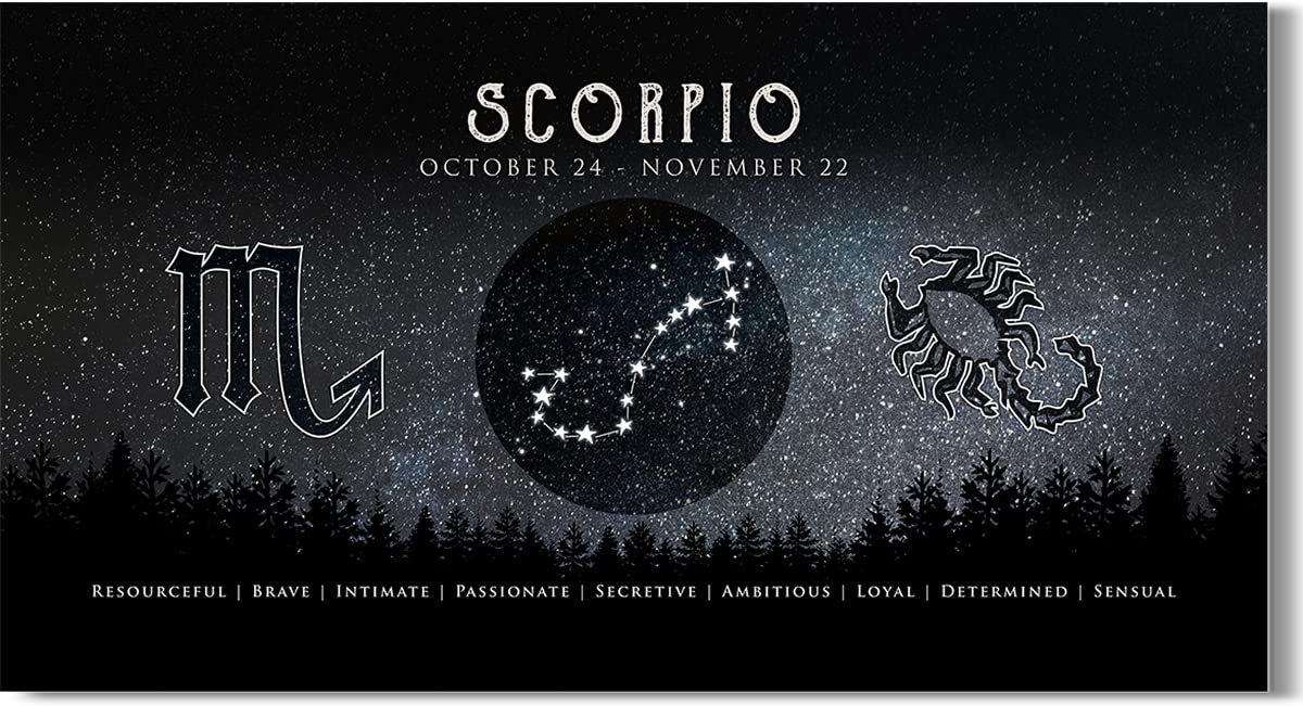 Scorpio Zodiac Wall Art - Unique Astrology Gifts for Women & Men - Boho Home Decor - 12x24 Inch Ready to Hang Canvas - Perfect for Bedroom, Living Room & Office Decor