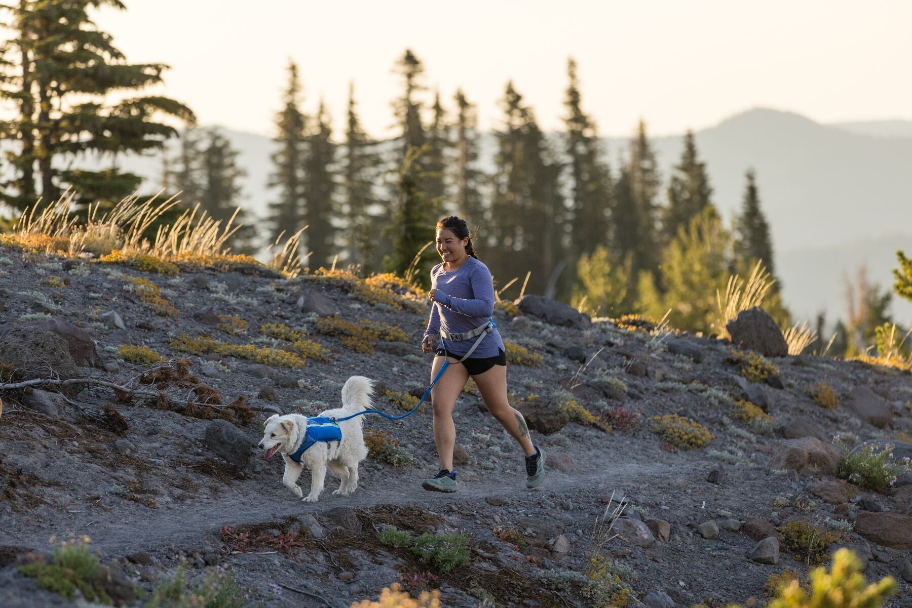 Ruffwear Dog Running Vest - Reflective Trail Runner Harness for Dogs in High-Visibility Lichen Green - Perfect for Hiking, Jogging & Outdoor Adventures