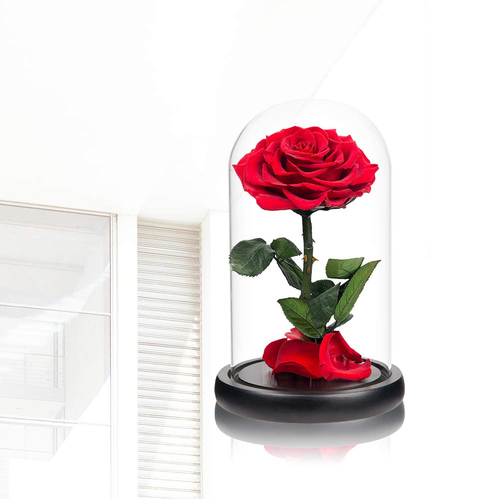 Handmade Real Preserved Red Roses in Glass Dome - Never Withering Romantic Gift for Her, Mother's Day, Birthday, Anniversary | Perfect for Home Decor, Wedding Centerpieces, and Special Occasion Gifts