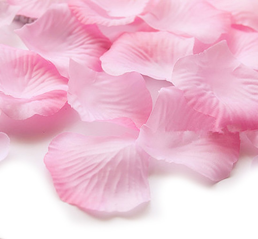 (2 Pack) 300 Count Artificial Rose Petals - Precious Pink for Wedding Decor, Romantic Scatter, Table Centerpieces & Photo Backdrops