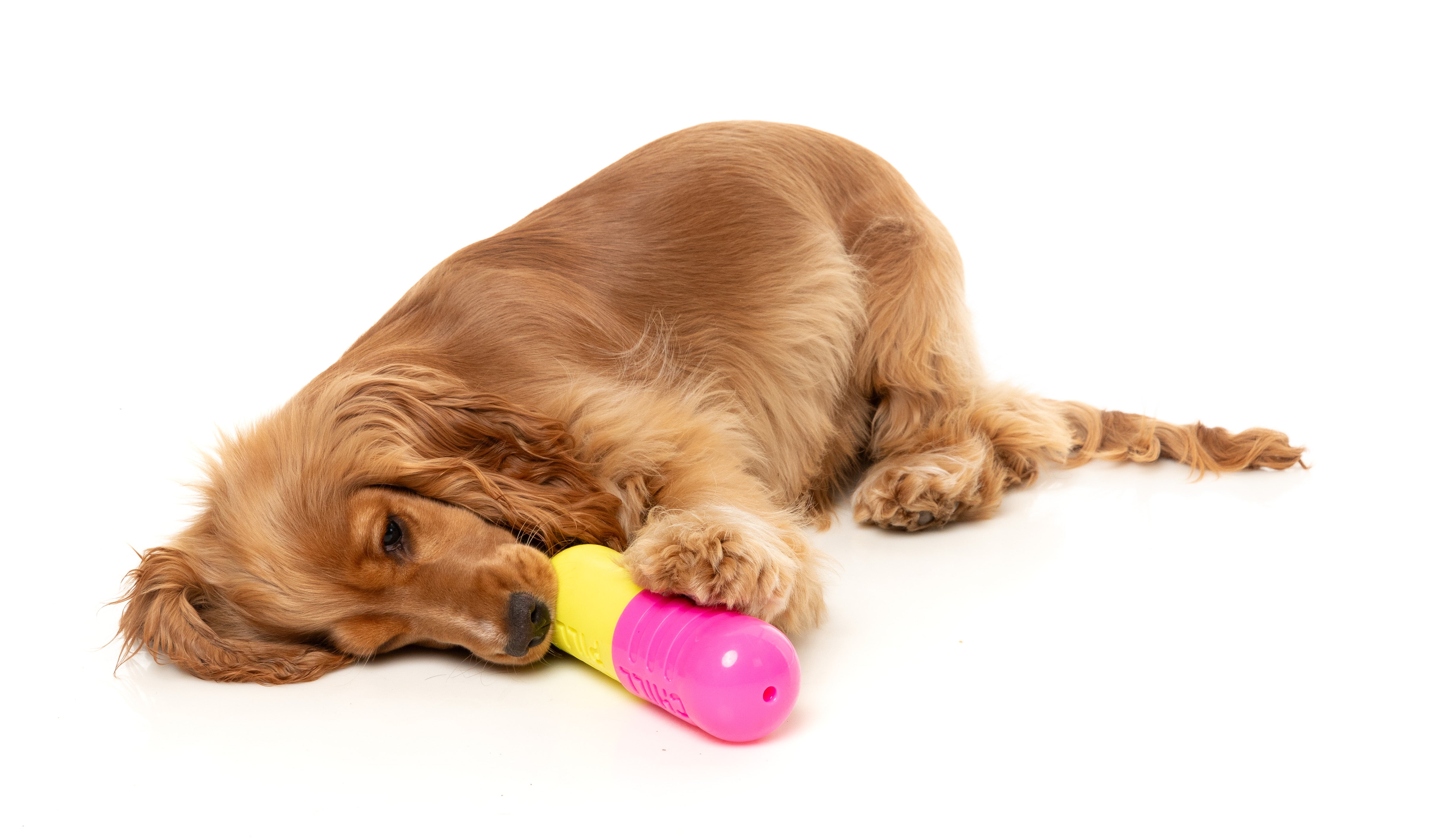 Interactive Dog Chew Toy with Treat Dispenser - Fuzzyard Chill Pill for Boredom & Anxiety Relief - Perfect for Training, Teething & Playtime