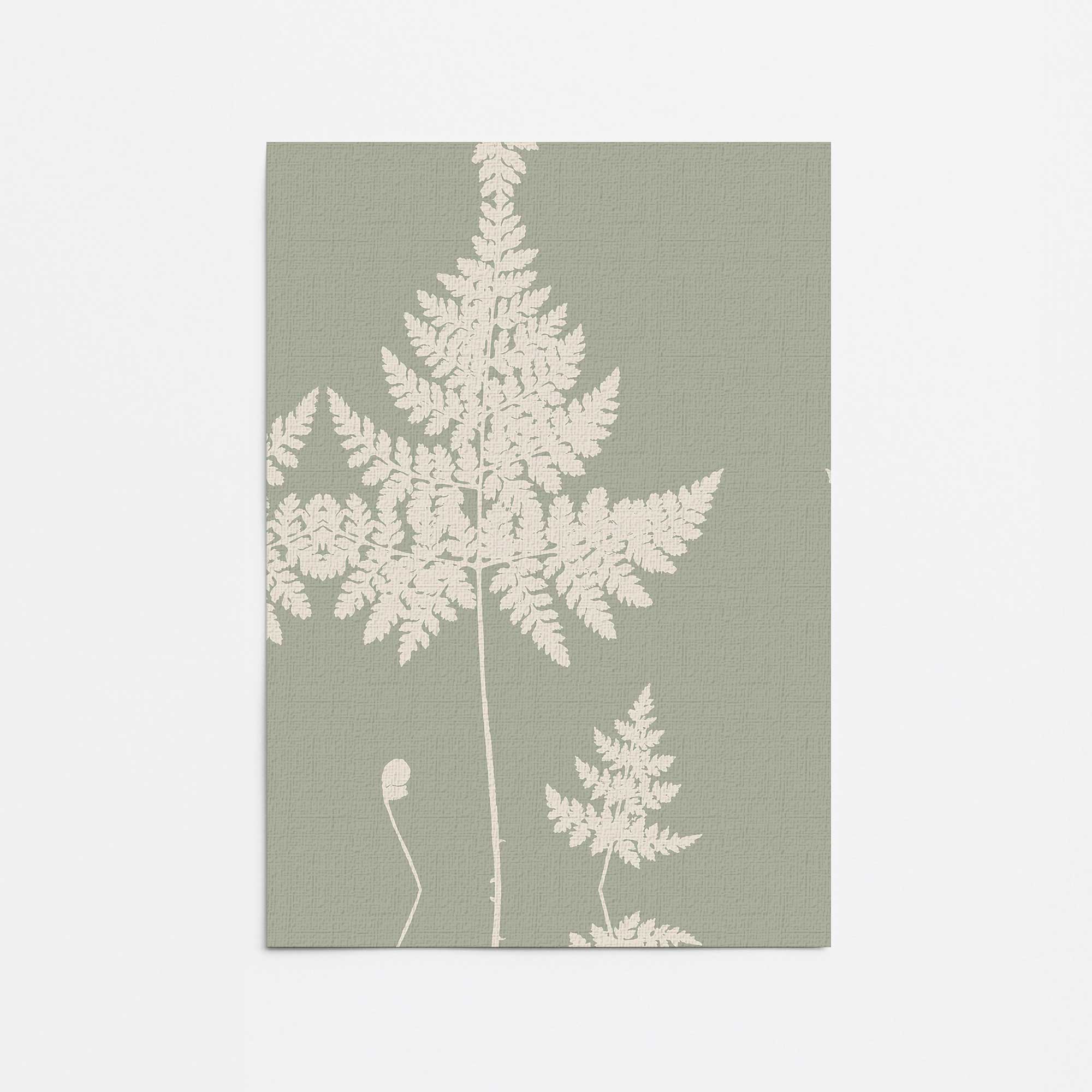 American Maple