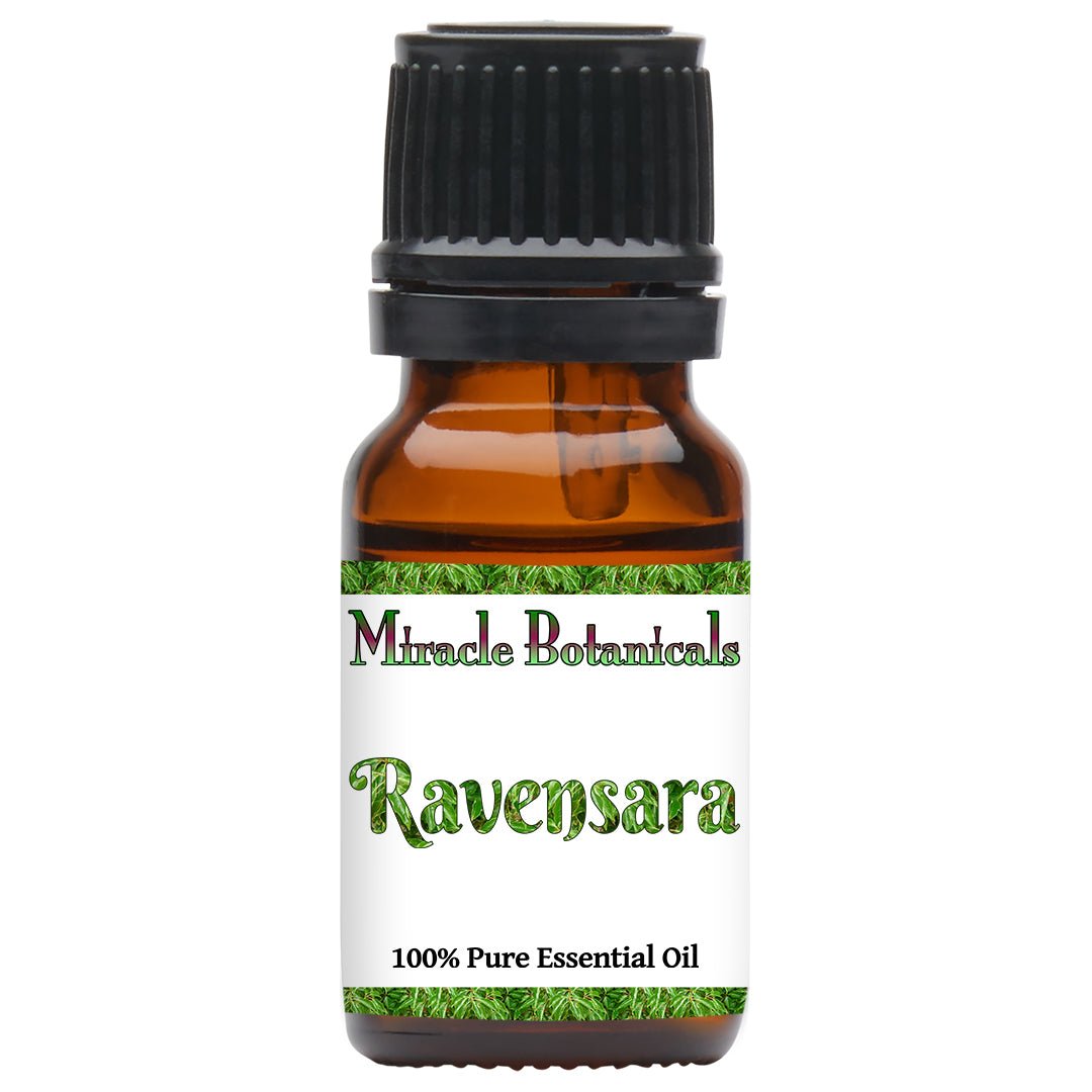 Pure Ravensara Essential Oil (Ravensara Aromatica) - 100% Natural Therapeutic Grade for Aromatherapy, Massage & Stress Relief - Perfect for Diffusers, Skincare & Home Relaxation