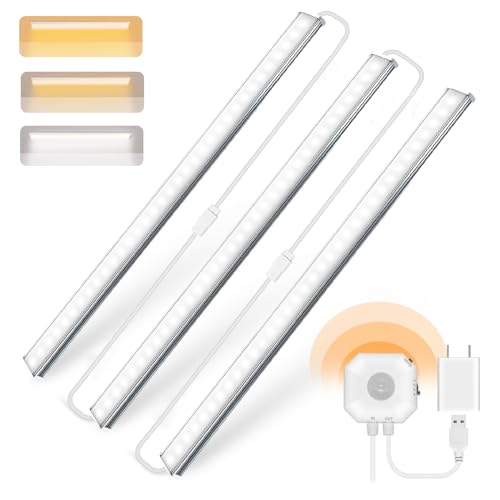Motion Sensor