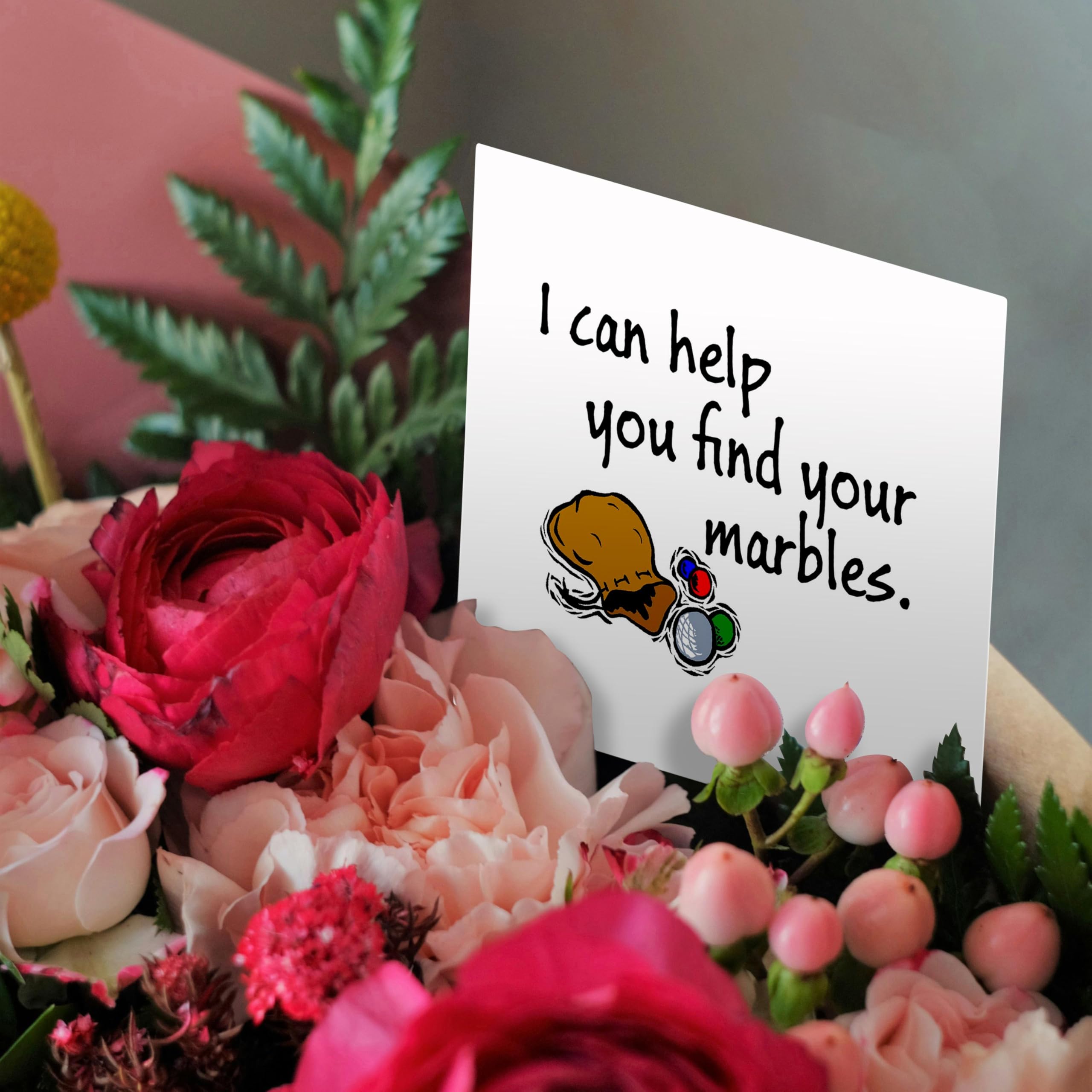 Funny Greeting Card - 'I Can Help You Find Your Marbles' Humorous Quote - Perfect for Birthdays, Anniversaries & Gag Gifts