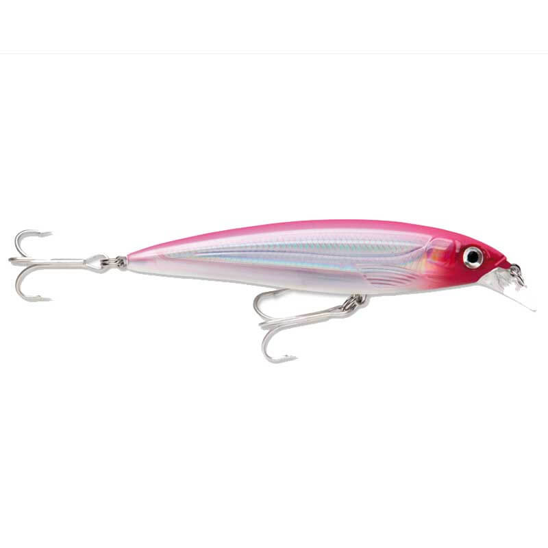 BLUE SARDINE