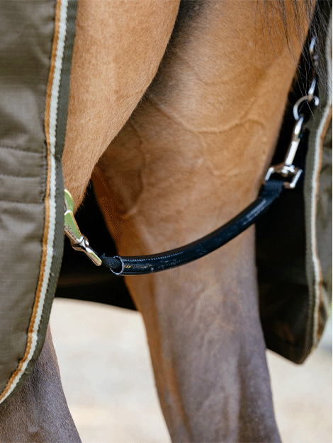 Arika Ripstop Turnout Rug 50g - Waterproof Horse Blanket for Winter - Alpine Design for Stable & Outdoor Riding