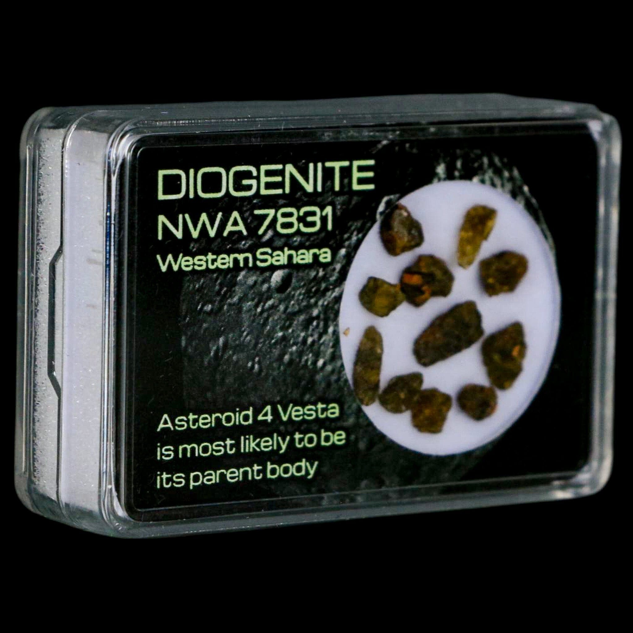 Diogenite Meteorite Specimen from Asteroid 4 Vesta - NMW 7831 Western Sahara Display Piece | Rare Space Rock for Collectors, Science Education & Home Decor