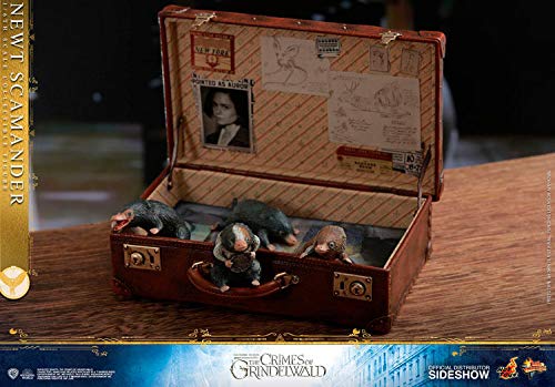 Hot Toys 1:6 Scale Newt Scamander Collectible Action Figure - Fantastic Beasts: The Crimes of Grindelwald Movie Character Model - Perfect for Display, Gift Giving, and Fantasy Collectors