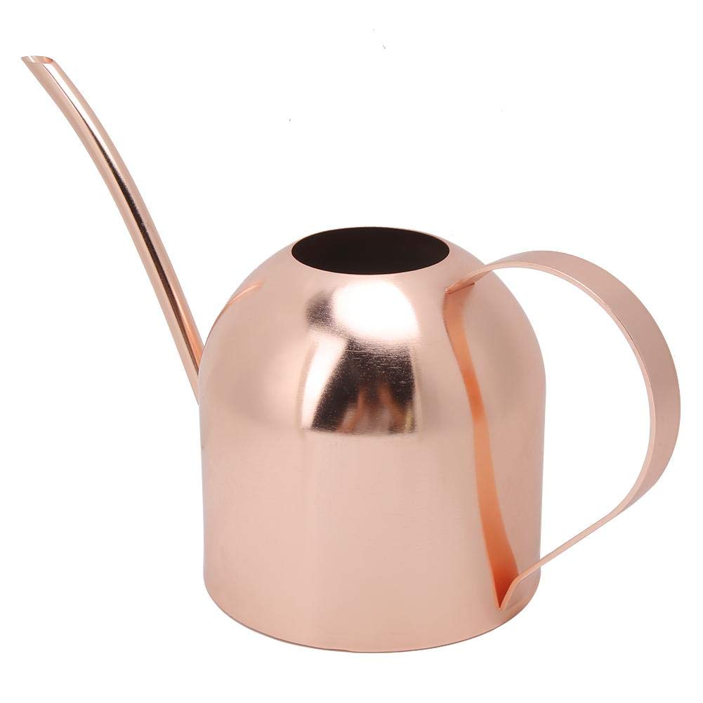 Stainless Steel Watering Can 1000ml - Long Spout Garden Watering Pot for Indoor/Outdoor Plants, Flowers & Herbs | Modern Design Plant Water Container for Balcony, Patio & Home Gardening