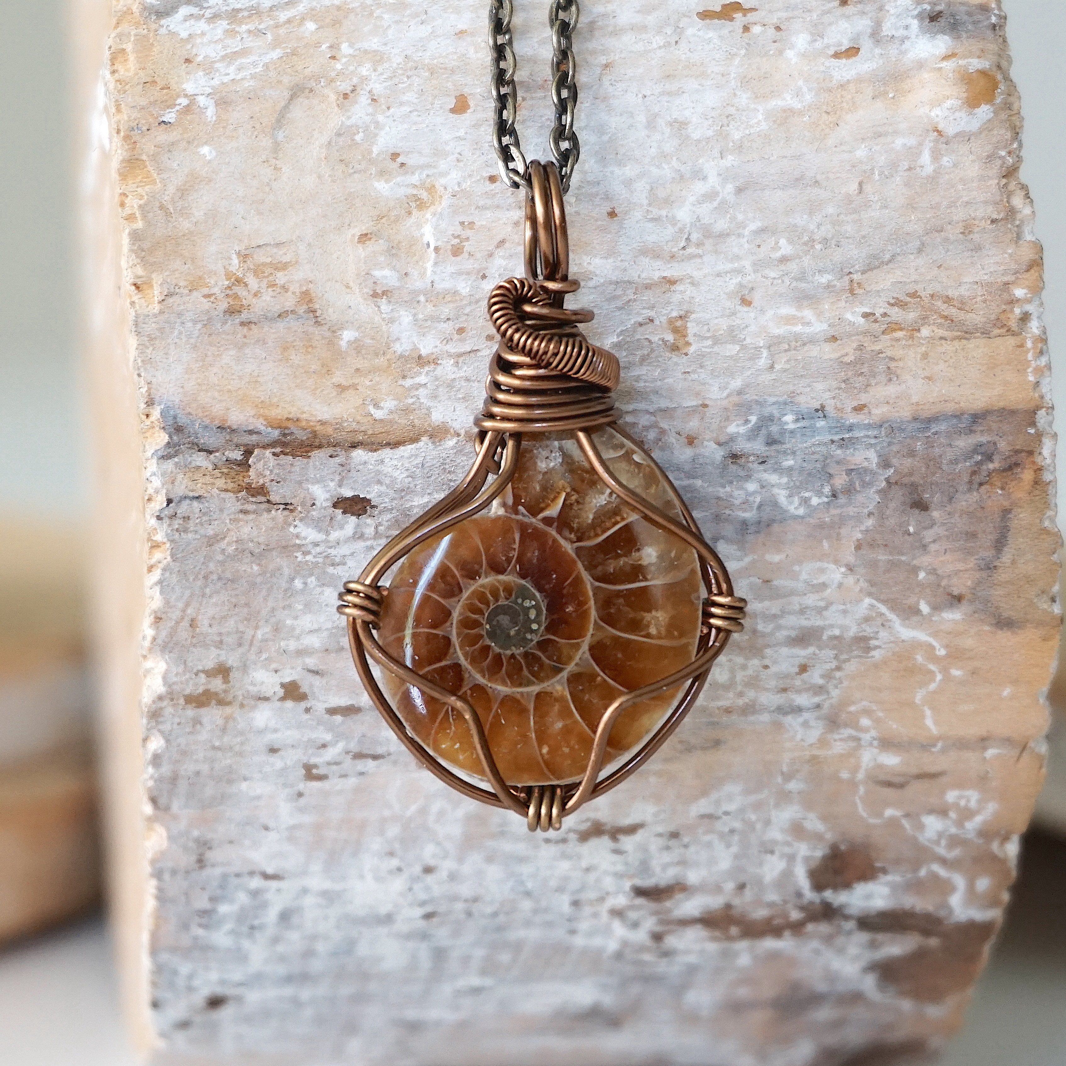Ammonite Fossil Pendant Necklace - Antique Bronze Jewelry for Women, Men - Perfect for Gifts, Boho Style & Everyday Wear
