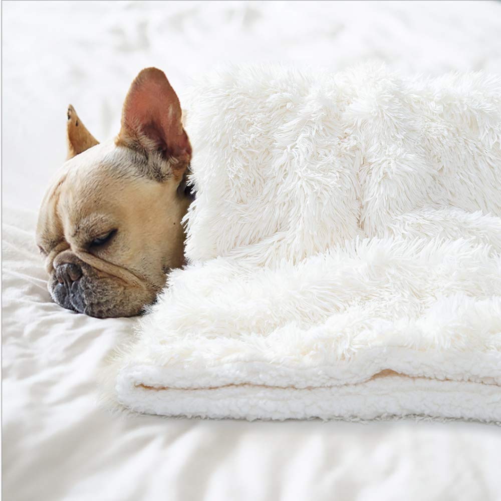 BENRON 30x40 Inch Reversible Fleece Dog Blanket - Soft Cozy Washable Pet Blanket for Medium Dogs, Couch, Bed & Crate - Cream White Fluffy Throw for Puppy Comfort & Warmth (Perfect for Winter Snuggles & Travel)