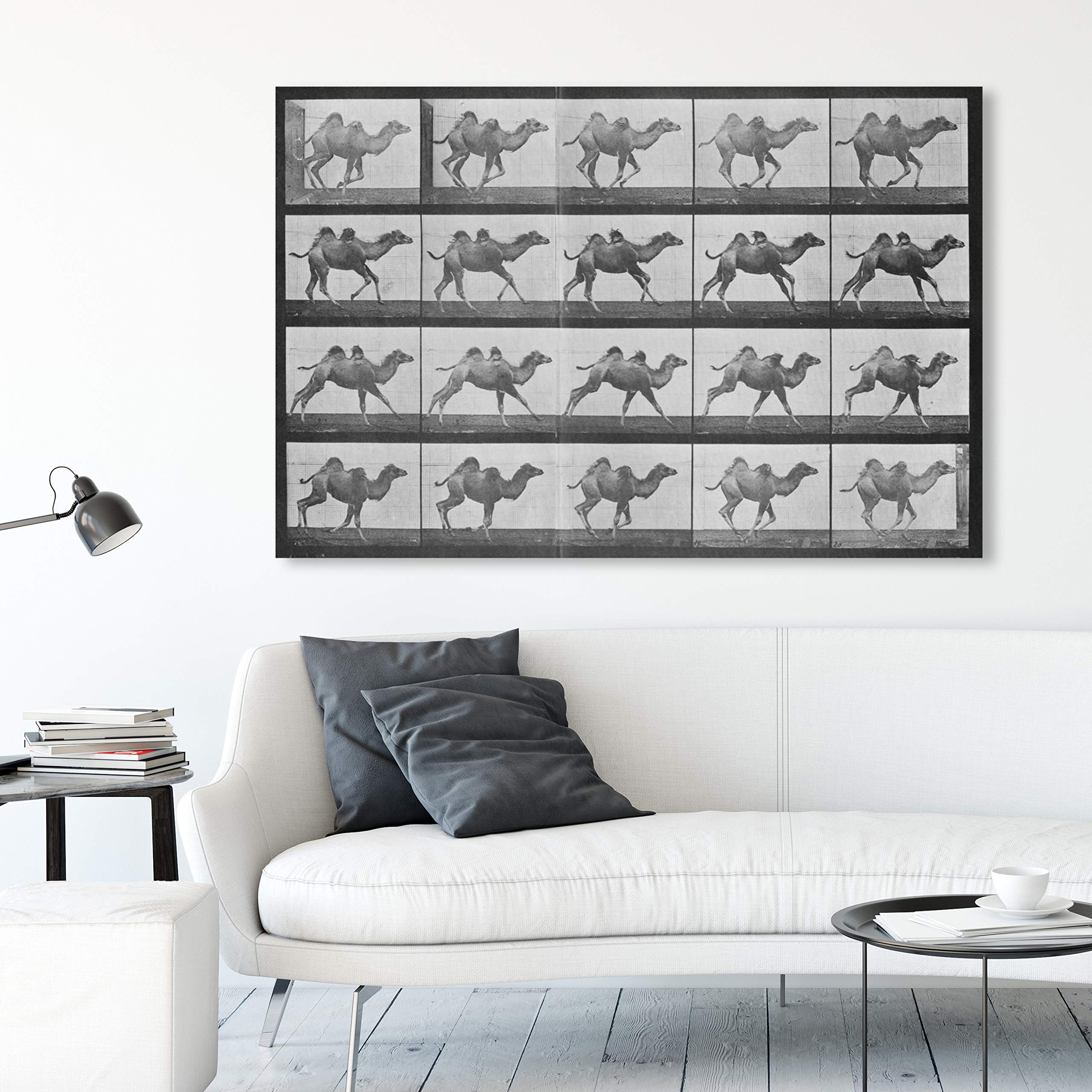Camels in Motion Wall Art Canvas Print - 54