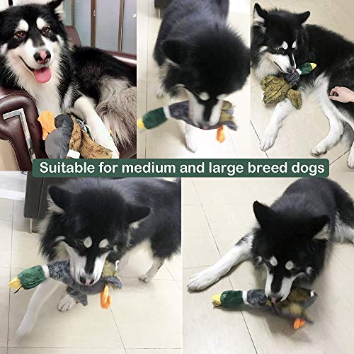 LUKACY Large Duck Dog Chew Toys - Squeaky Mallard Bird Dog Toy for Big Dogs, Durable & Safe Pet Chewing Toy (Green) - Perfect for Fetch, Training & Interactive Playtime