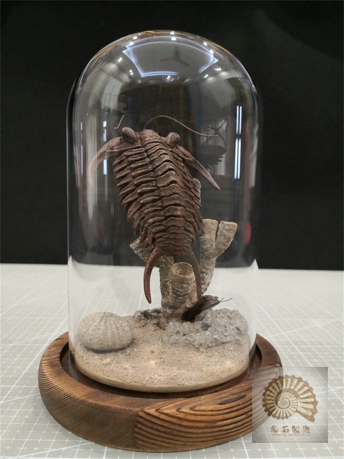 VWUVWU 1:1 Scale Trilobite Fossil Model - Realistic Arthropod Skeleton Figure, Resin Collector's Decor & Unique Gift for Adults - Perfect for Paleontology Enthusiasts, Home Office Display & Science Education