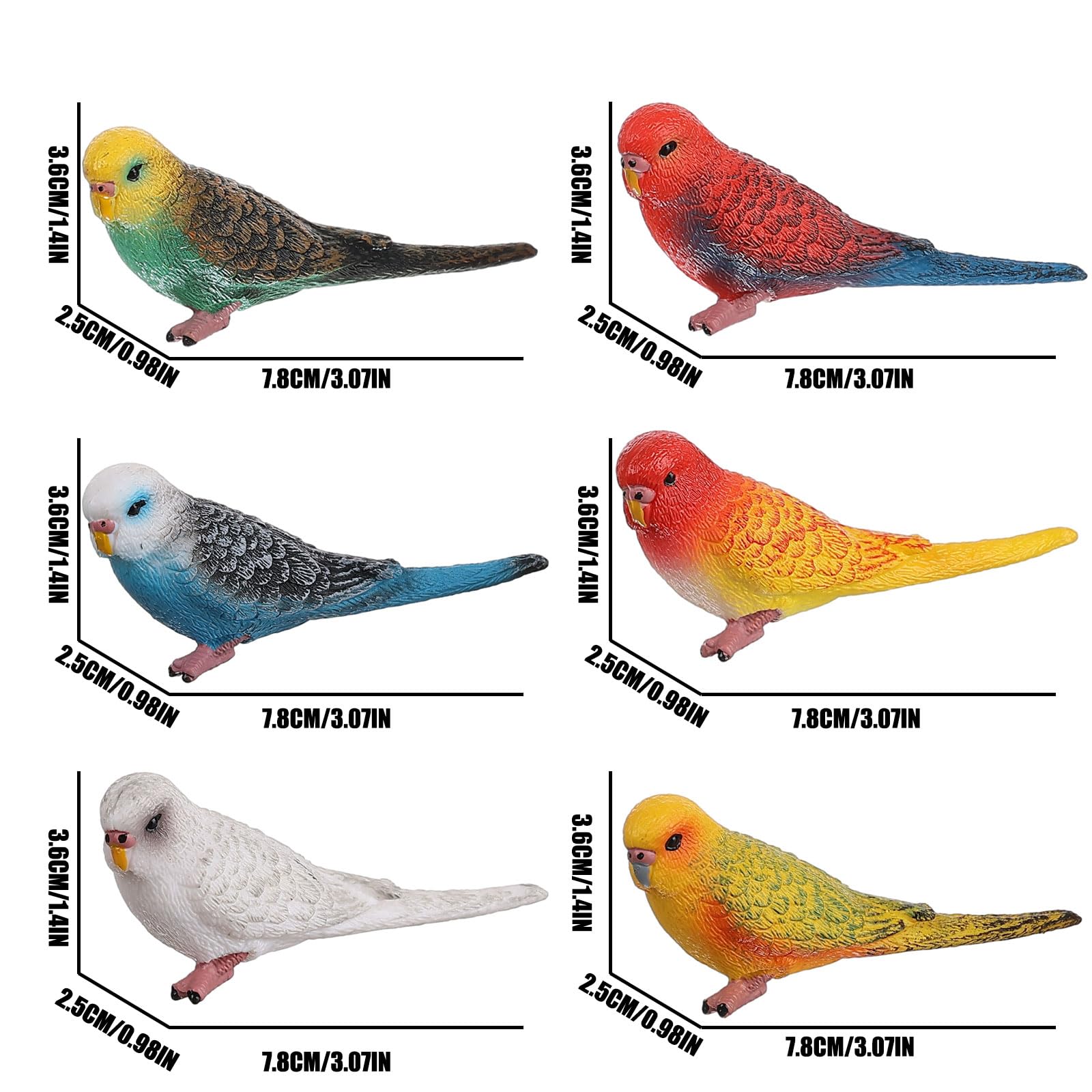6pcs Realistic Parrot Toy Figures - Plastic Animal Model Set for Kids Learning & Play | Educational Bird Toys for Boys & Girls | Perfect for Classroom, Birthday Gifts & Nature Themed Playtime