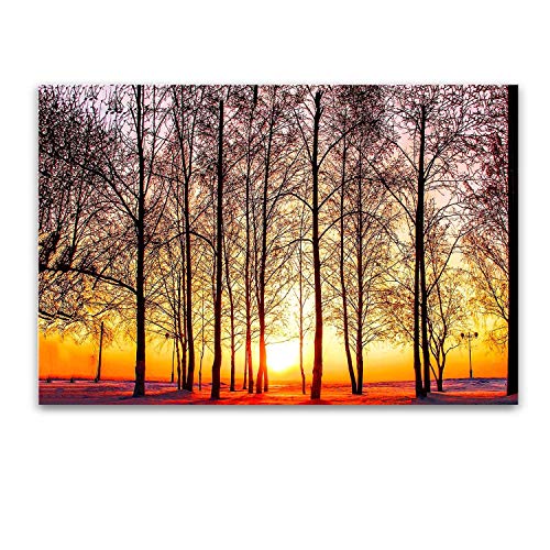 Yellow Sunset Trees