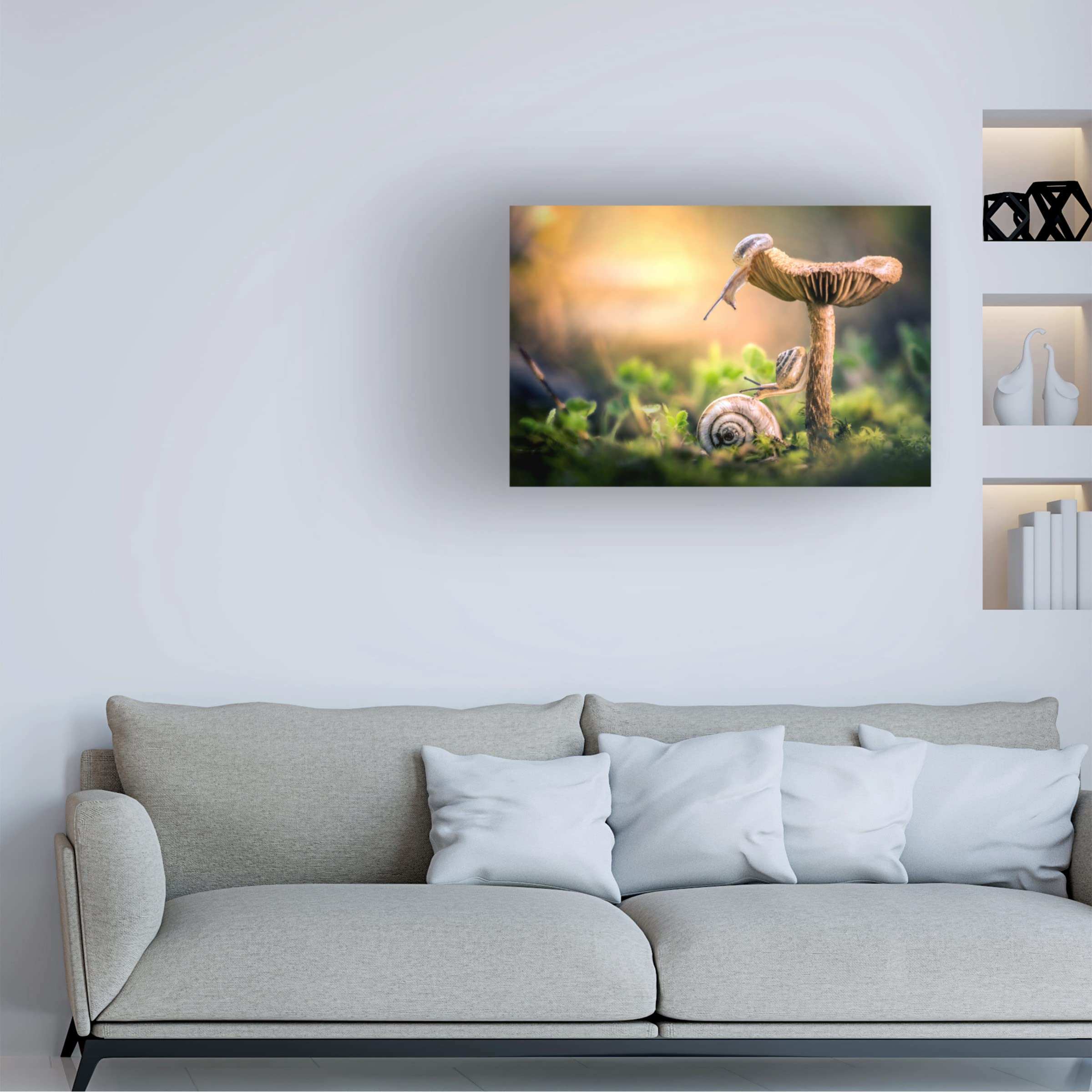 Trademark Fine Art 'The Awakening Of Snails' Canvas Wall Art by Alberto Ghizzi Panizza - Modern Home Decor for Living Room, Bedroom & Office