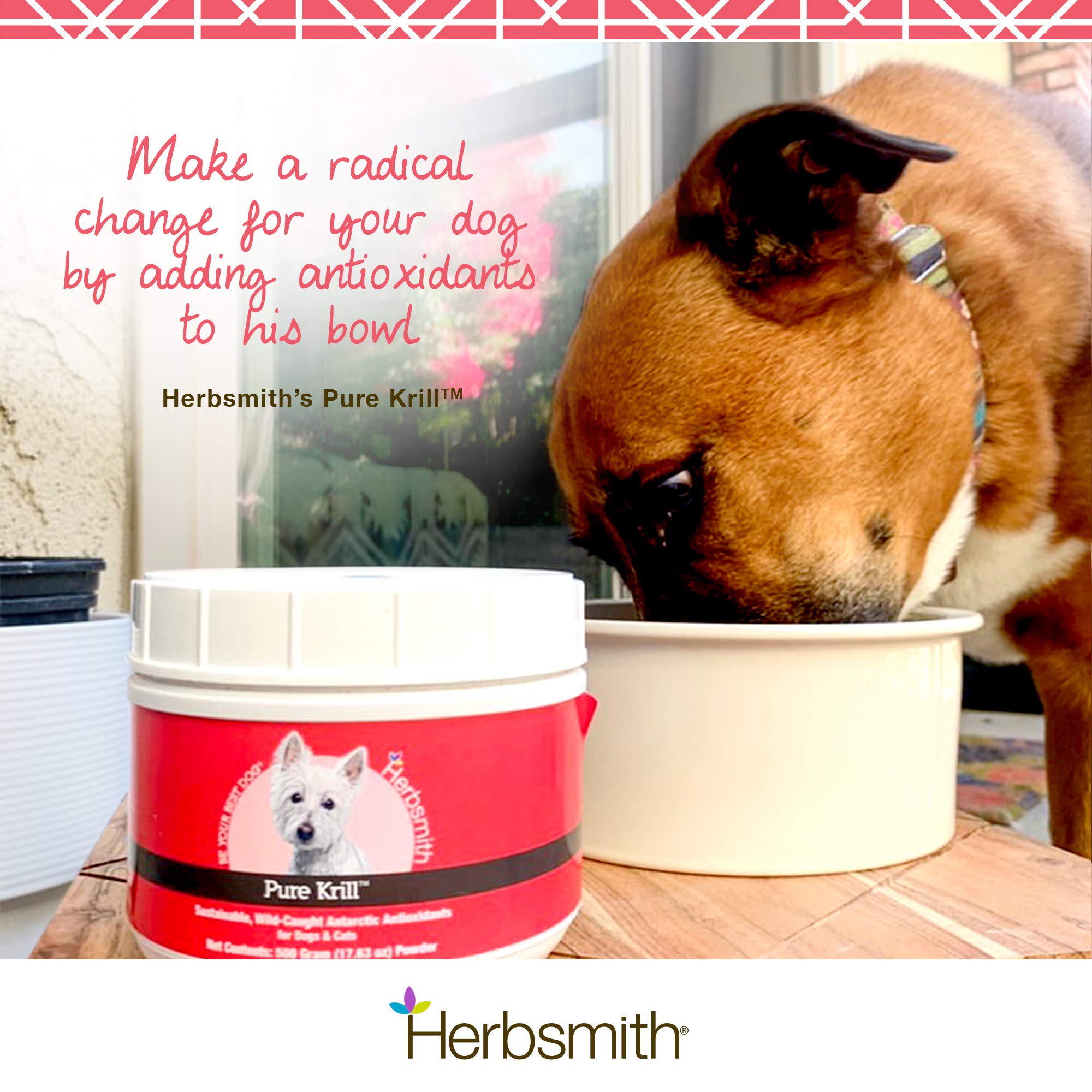 Herbsmith Pure Krill for Dogs - Wild-Caught Antarctic Krill Oil Supplement with Natural Astaxanthin - Single Ingredient Omega 3 Fatty Acids - 400g Ready-to-Use Powder - Supports Joint, Skin & Coat Health - Perfect for Senior Dogs & Active Pets