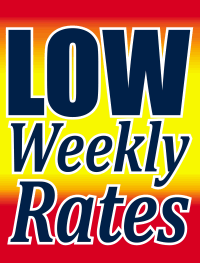 Custom Vinyl Window Signs - Affordable Weekly Rates for Businesses & Events | Perfect for Storefronts, Sales, and Promotions
