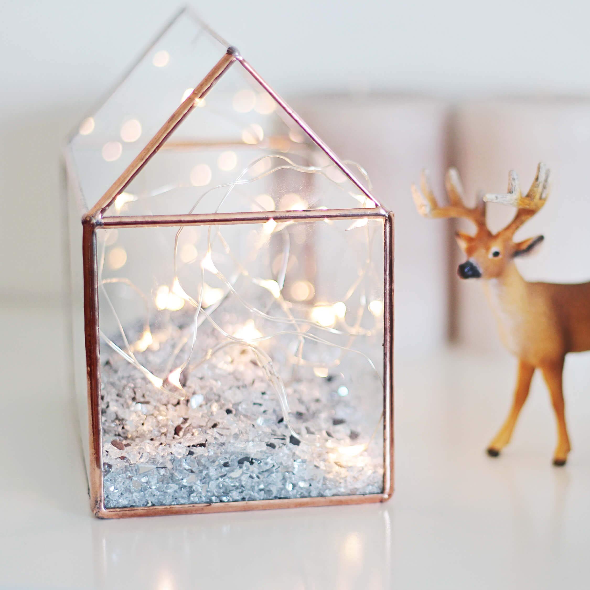 Medium Size Glass Terrarium Container - Copper, Silver, Black | Perfect for Succulents, Air Plants & Home Decor | Indoor Plant Display & DIY Terrarium Projects