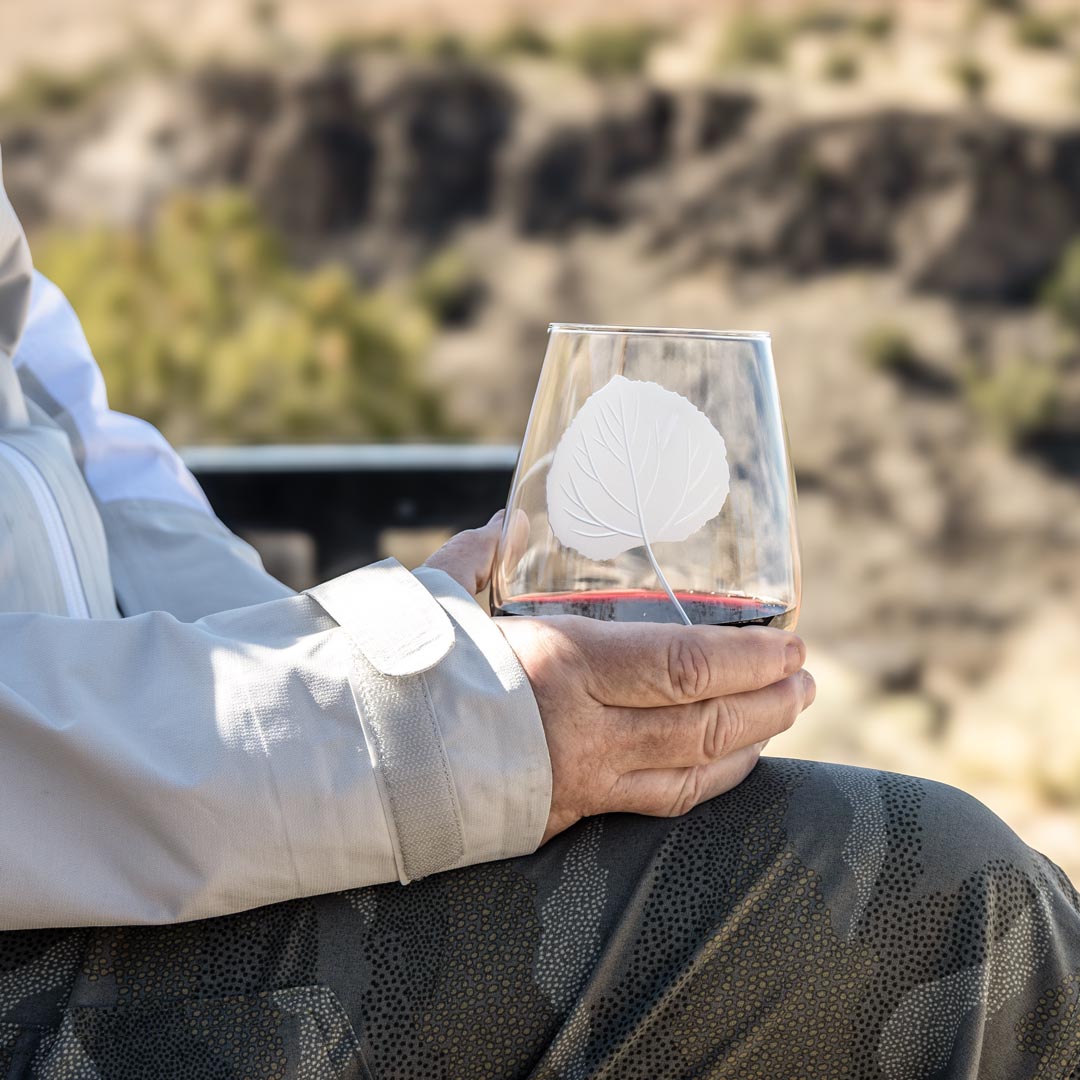 Premium 18oz Stemless Wine Tumbler Glasses - Set of 12 | Shatter-Resistant, BPA-Free | Perfect for Parties, Weddings & Outdoor Gatherings