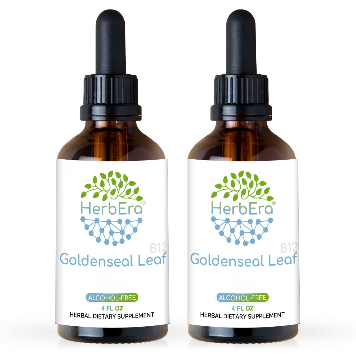 Goldenseal Leaf B120 Alcohol-Free Herbal Extract Tincture (2-Pack) - Super-Concentrated, Responsibly Farmed Hydrastis Canadensis Dried Leaf Supplement (2 x 4 fl oz) | Immune Support & Natural Wellness for Daily Use