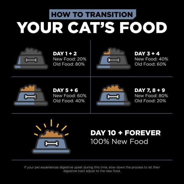 Go! Solutions Weight Management + Joint Care Grain-Free Chicken Recipe Dry Cat Food for Adult Cats - 8 lb Bag, Supports Healthy Weight & Mobility - Perfect for Indoor & Senior Cats