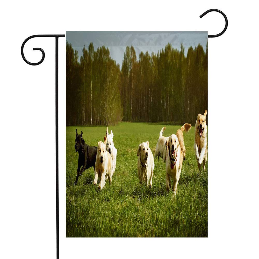 Welcome Garden Flag - Large 12x18 Inch Happy Running Dogs Design for Outdoor Patio Lawn Decor, Seasonal Home Gift | Perfect for Parks, Play Areas & Retriever Lovers