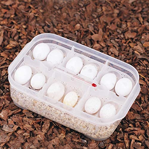 Reptile Breeding Box 16.5x11x5.2cm - Transparent Reptile Hatchery & Incubation Box with Temperature Gauge - Ideal for Hatching Lizards, Snakes, Geckos - Perfect for Home Breeding, Pet Stores & Reptile Enthusiasts