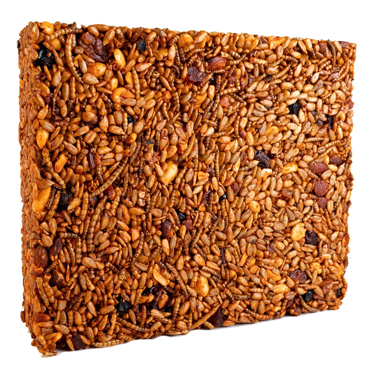 Crunchy Sizzling Nuts & Bugs Seed Cake for Reptiles - Large 5oz Protein-Rich Treat for Bearded Dragons, Geckos & Turtles - Perfect for Feeding Time & Habitat Enrichment