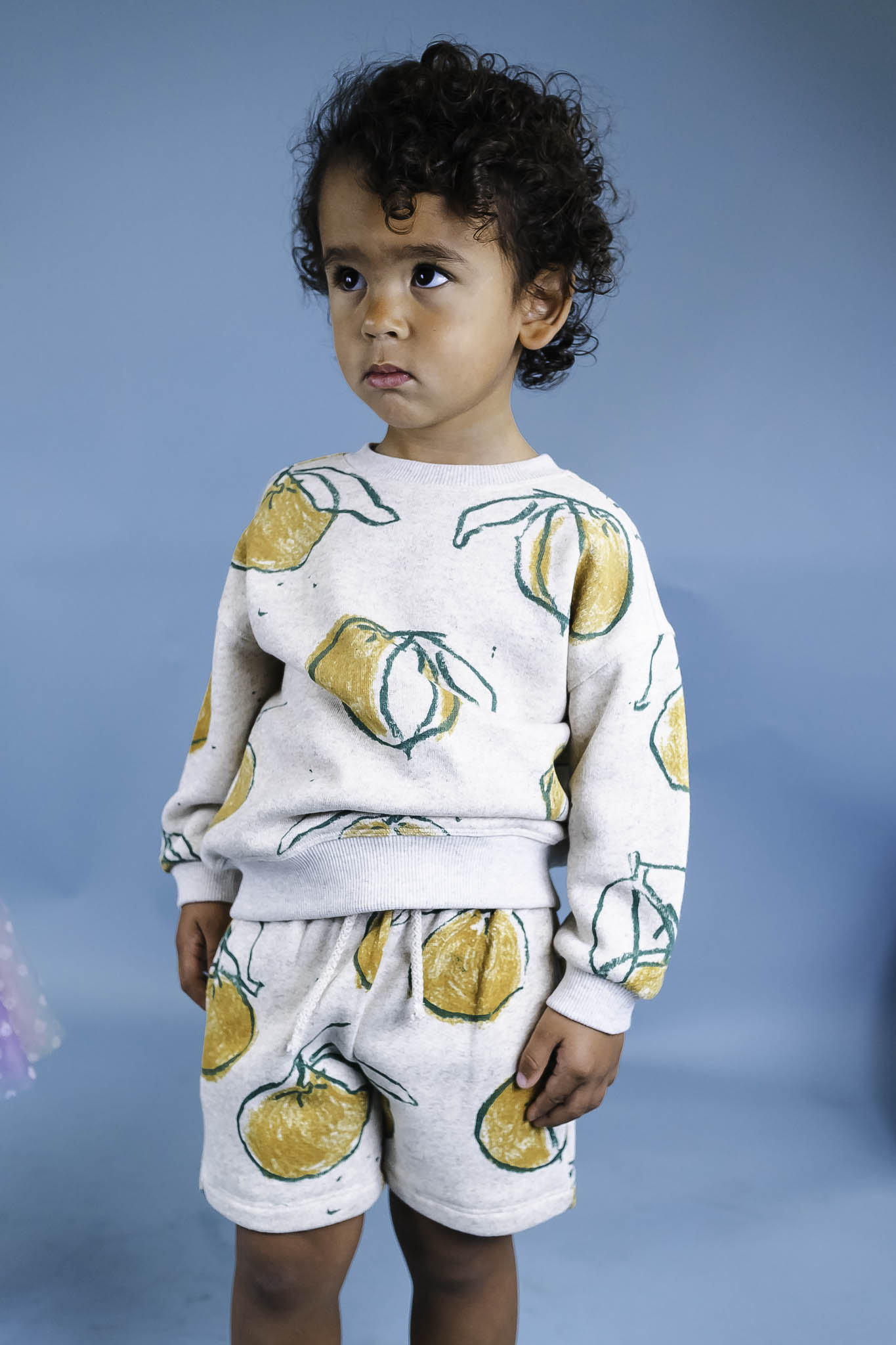 Soft Fruit Print Fleece Sweatshirt for Toddlers - Unisex Cozy Pullover for Boys & Girls | Perfect for Playdates, Preschool & Family Outings