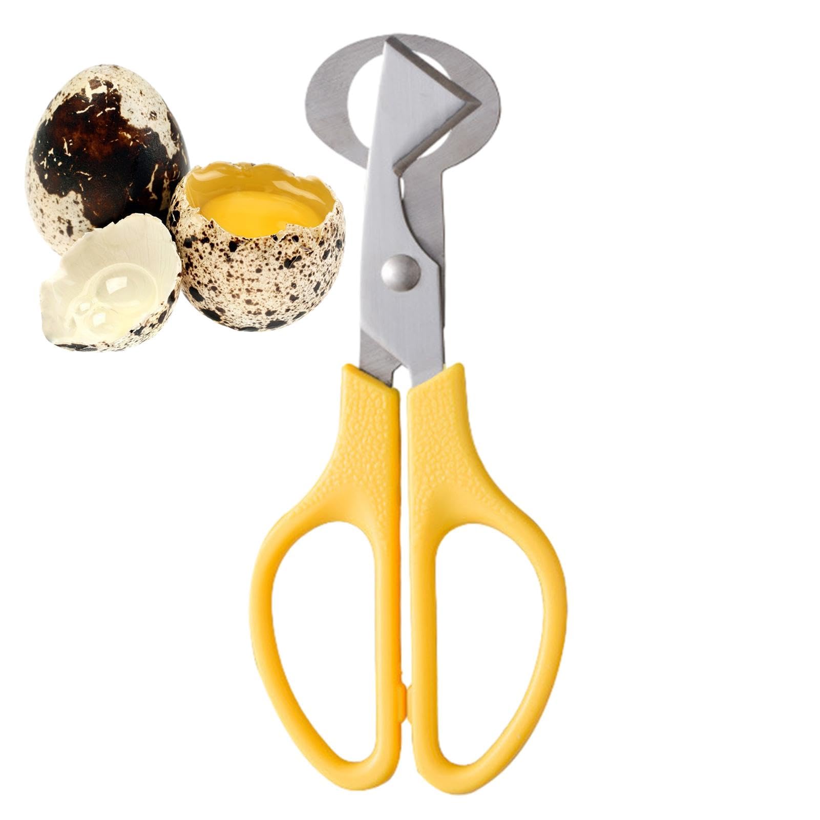 Quail Egg Scissors - Stainless Steel Egg Separator & Opener Tool for Quail Eggs | Kitchen Shears for Perfectly Cutting & Peeling Quail Eggs | Ideal for Cooking, Baking, Garnishing & Food Presentation