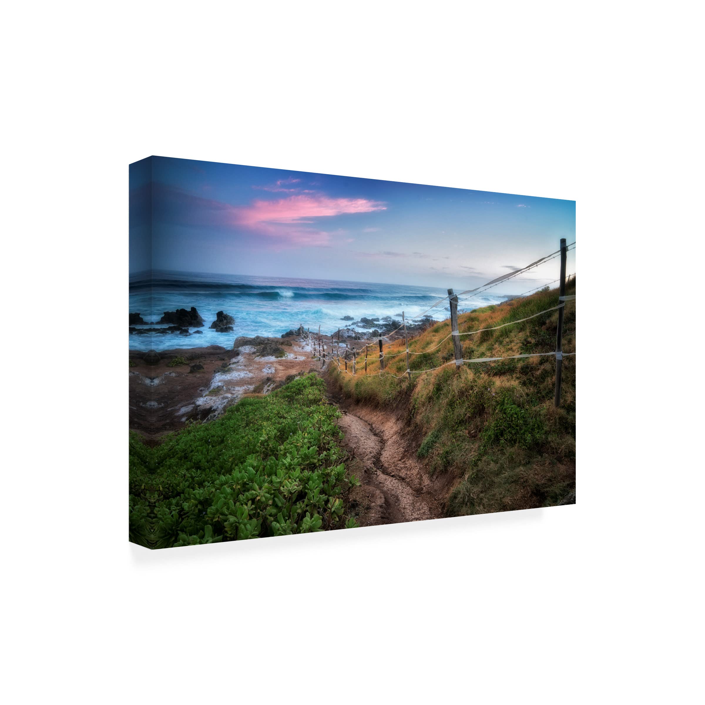 Dennis Frates 'Paths' Canvas Wall Art - Handmade Landscape Painting for Home & Office Decor - Perfect for Living Room, Bedroom, or Office Wall Decor