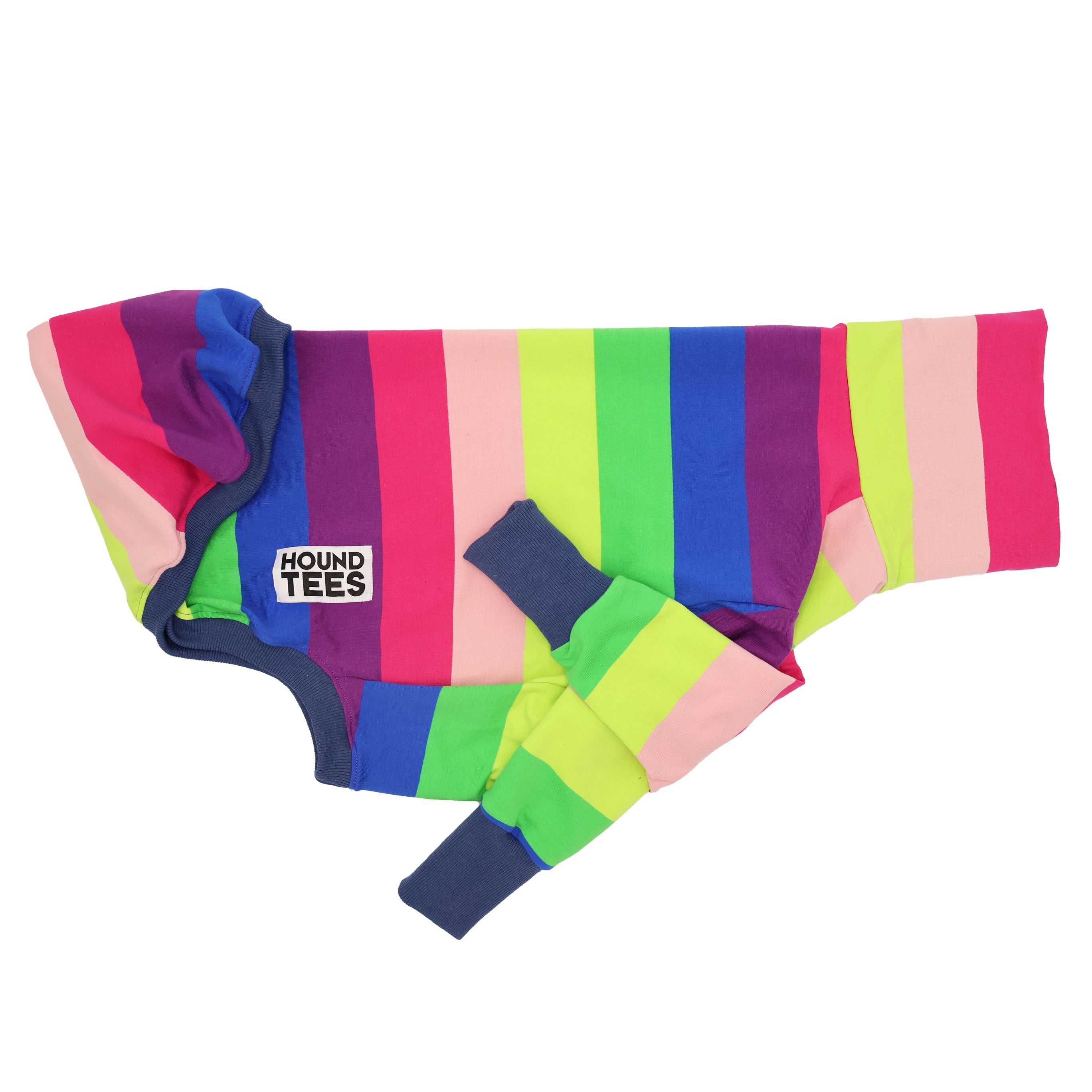 Greyhound Sour Snakes Long Sleeve Sweater - Cozy Pullover for Dog Lovers, Perfect for Casual Wear & Outdoor Activities