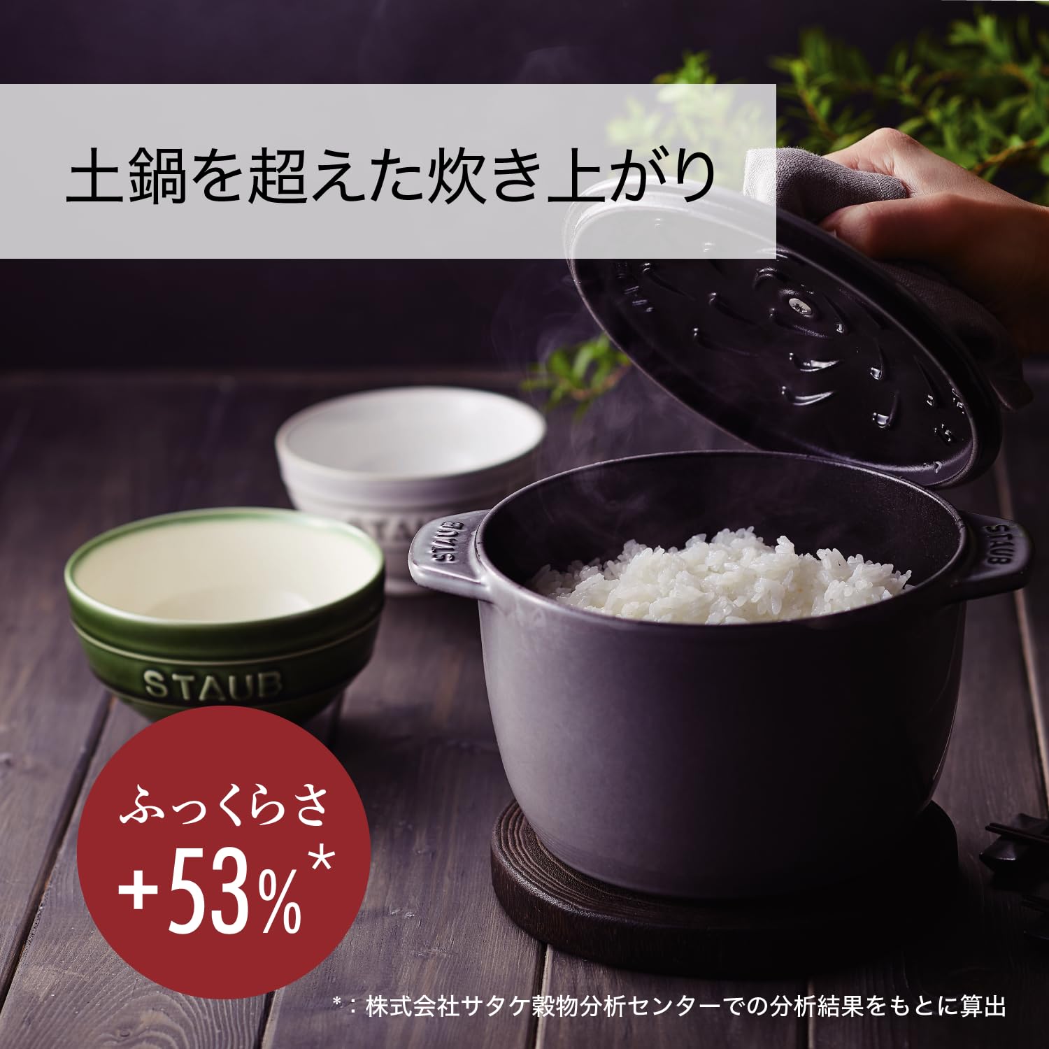 Staub La Cocotte de Gohan 4.7-Inch (12 cm) Cast Iron Rice Cooker Pot - Cherry Red, Perfect for Stovetop & Oven Use - Ideal for Cooking Rice, Stews & One-Pot Meals