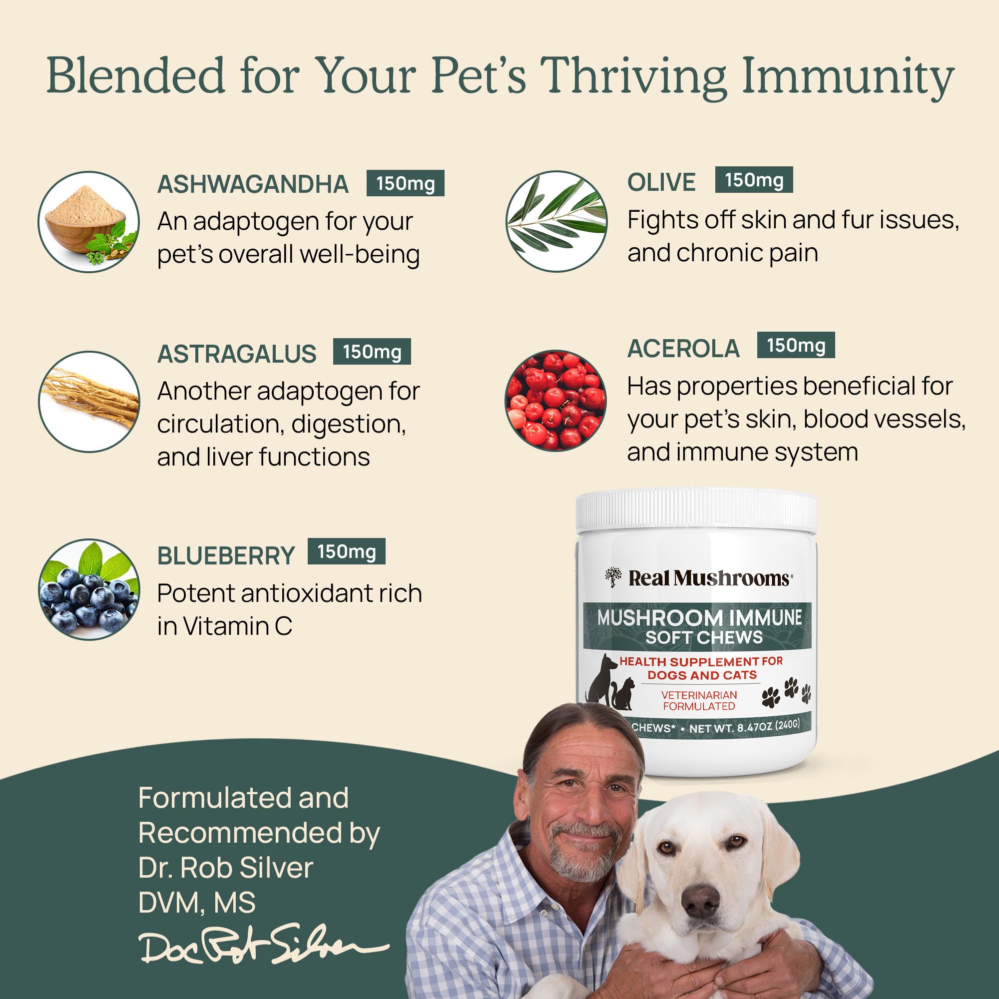 Premium Mushroom Immune Support Chews for Dogs & Cats - 60ct Pet Treats with Ashwagandha, Astragalus, Blueberry & Olive Leaf | Gut Health Booster Supplement | Supports Immunity & Digestion - Perfect for Daily Wellness & Senior Pets