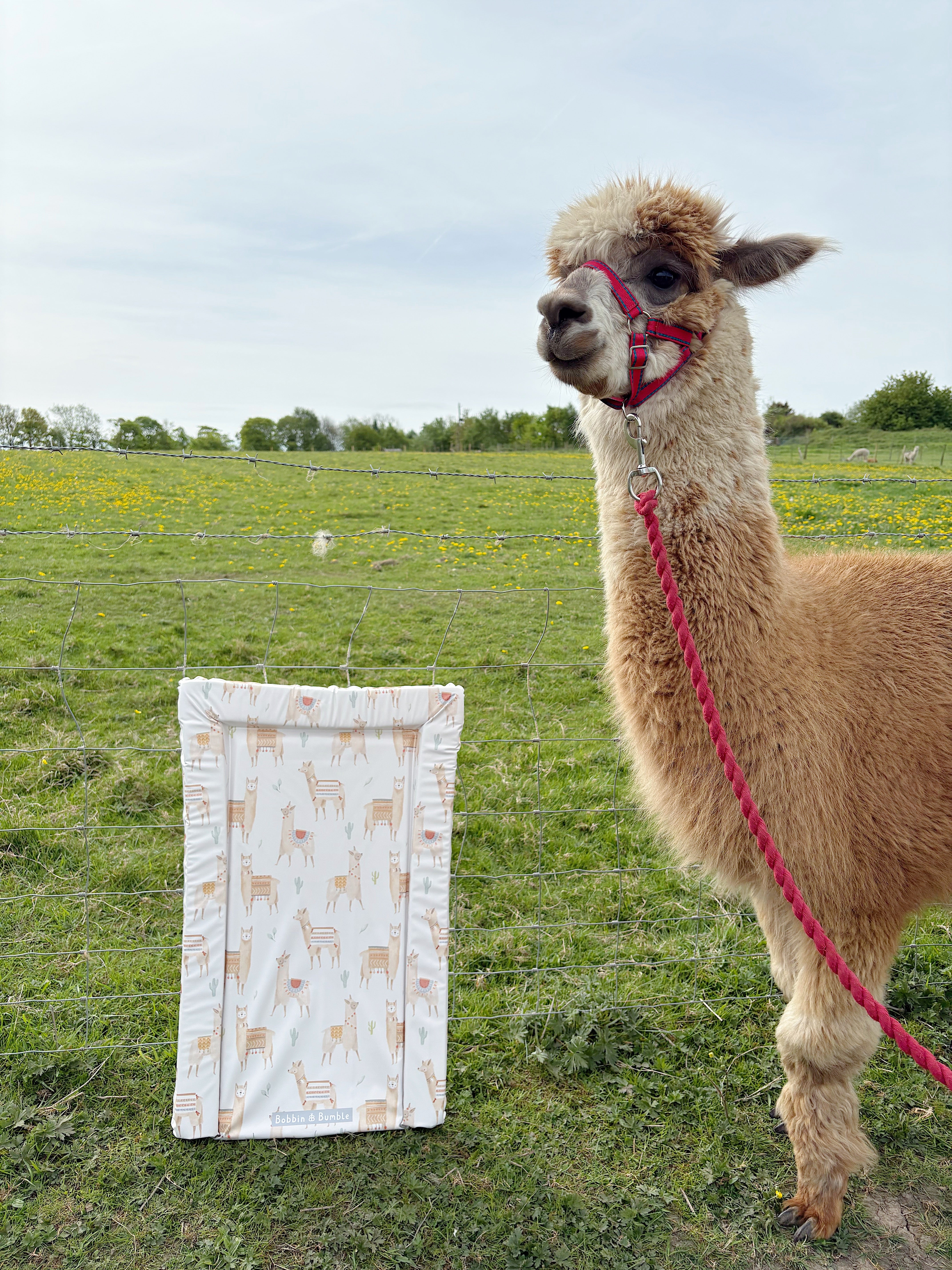 Premium Baby Changing Mat with Soft Alpaca Design - Waterproof & Portable for Nursery, Travel & Diaper Changes