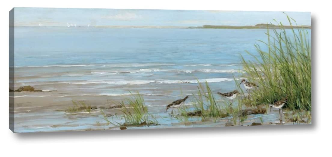 Sandpiper Beach by Sally Swatland - 12x30 Inch Coastal Canvas Art Print - Gallery Wrapped & Ready to Hang - Perfect for Living Room, Bedroom or Beach House Decor