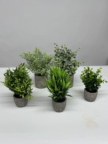 6-green Grass+dark Green