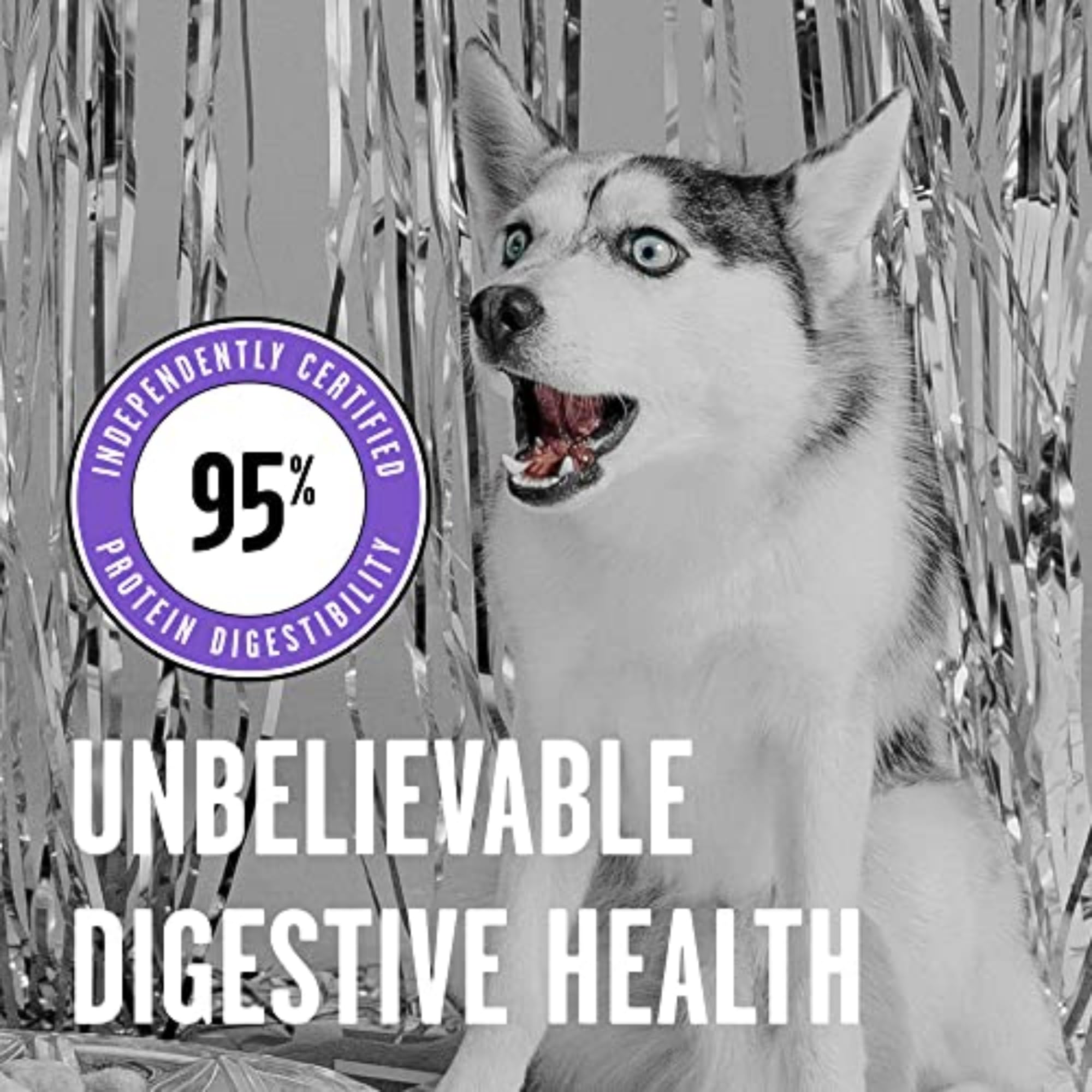 BIXBI Rawbble Freeze Dried Dog Food - Lamb Recipe 12oz | 97% Meat & Organs | Grain-Free, No Fillers | Raw Dog Food for Meals, Treats & Toppers | Made in USA | Perfect for Travel, Camping & Emergency Pet Food Storage