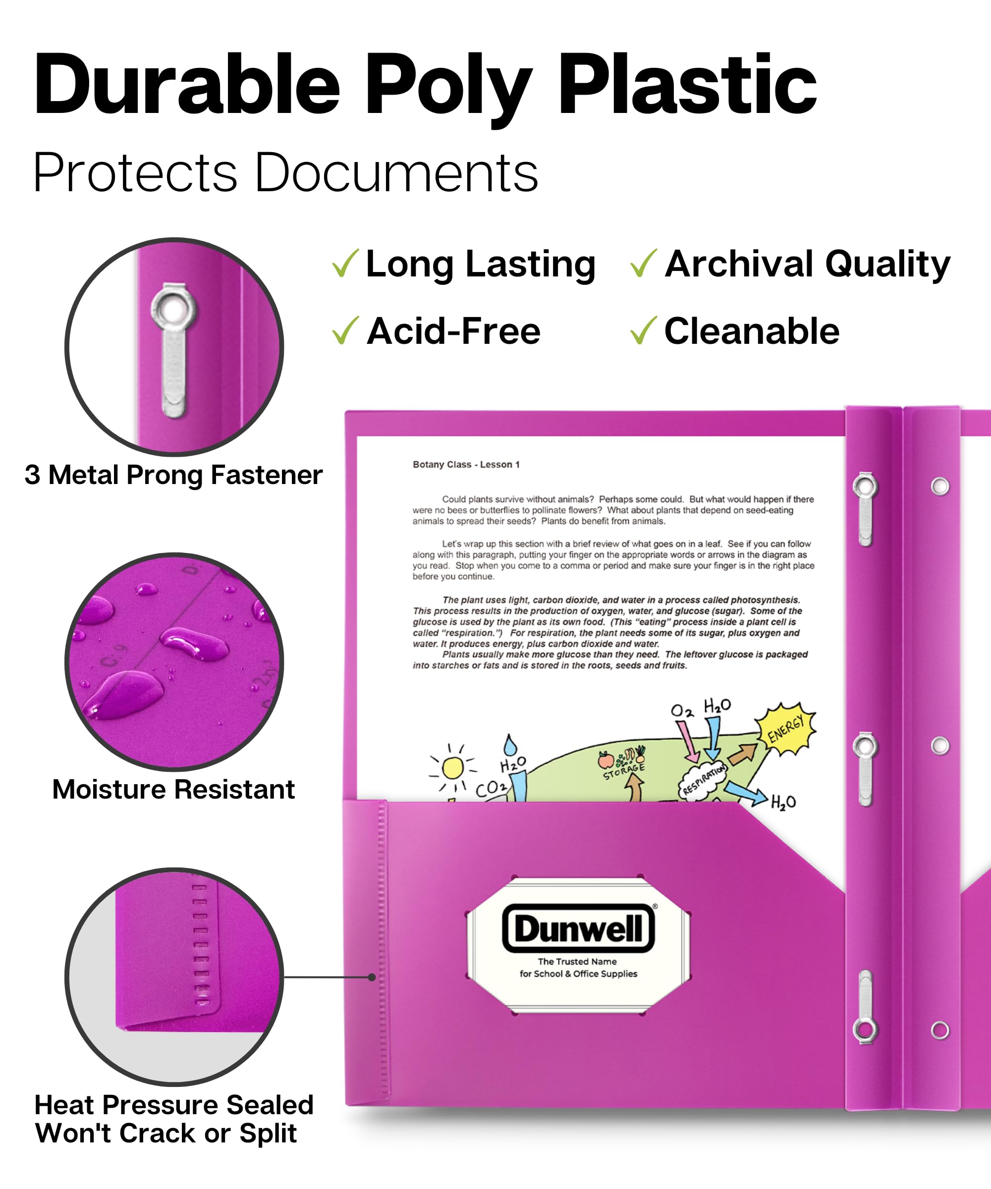 Dunwell 2-Pocket 3-Prong Folders with Clear Front View - 6 Vibrant Colors, Durable Acid-Free Poly Plastic, 3-Hole Punch for Binders - Includes Brads, Pockets & Labels - Perfect for School, Office & Document Organization
