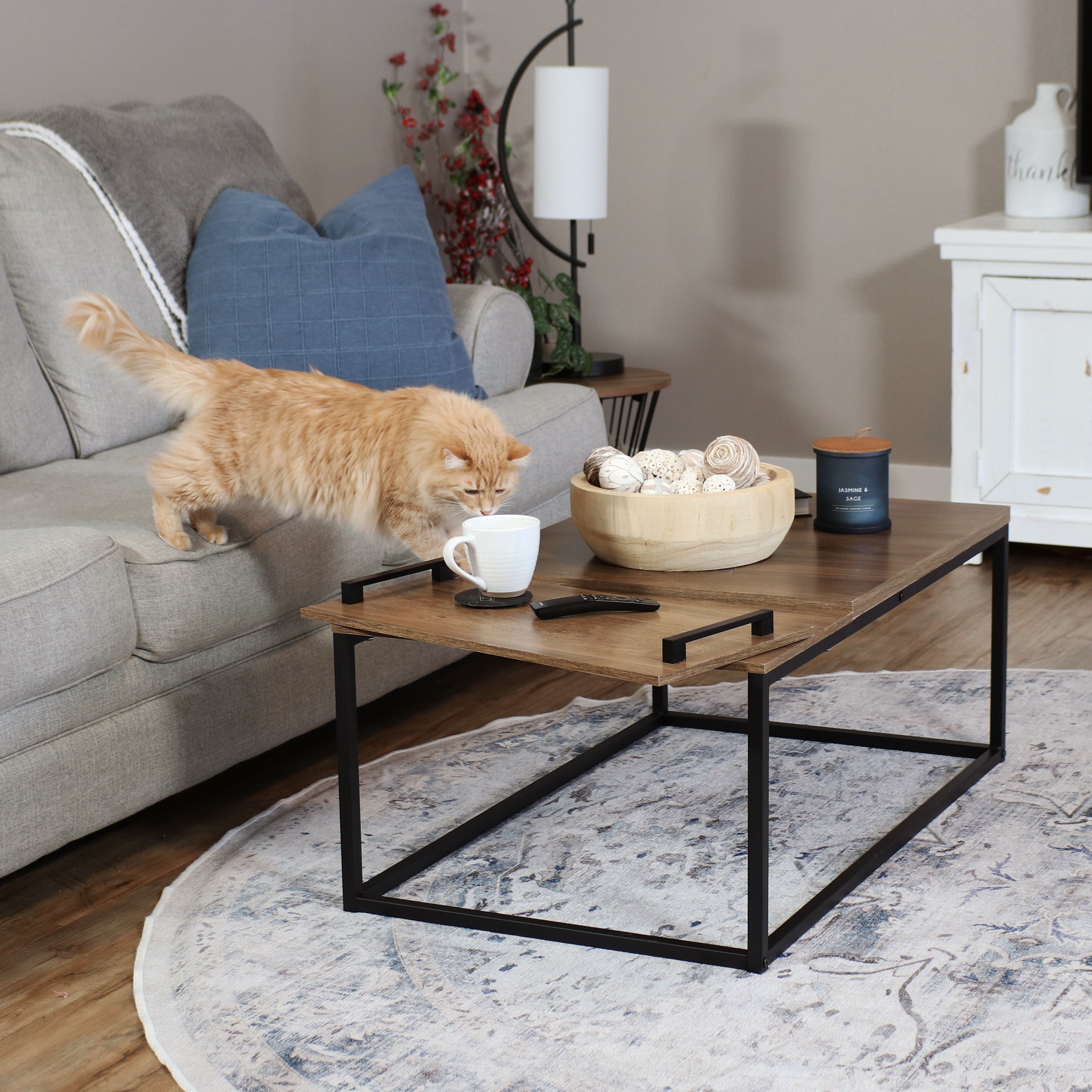 Industrial Coffee Table with Serving Tray - 39
