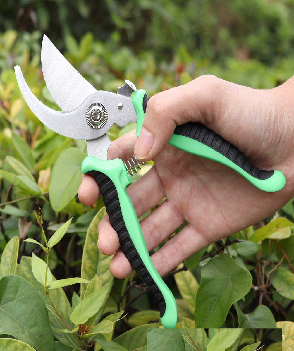 Professional Stainless Steel Gardening Pruning Shears - Lightweight Hand Pruner for Smooth Clean Cuts on Flowers, Plants & Light Branches | Perfect for Home Gardeners, Florists & Landscaping Enthusiasts | Ideal for Trimming, Pruning & Shaping Plants in Your Backyard or Greenhouse