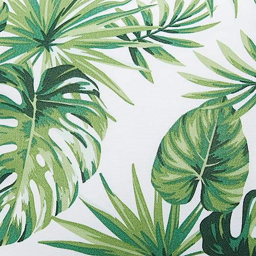Palm