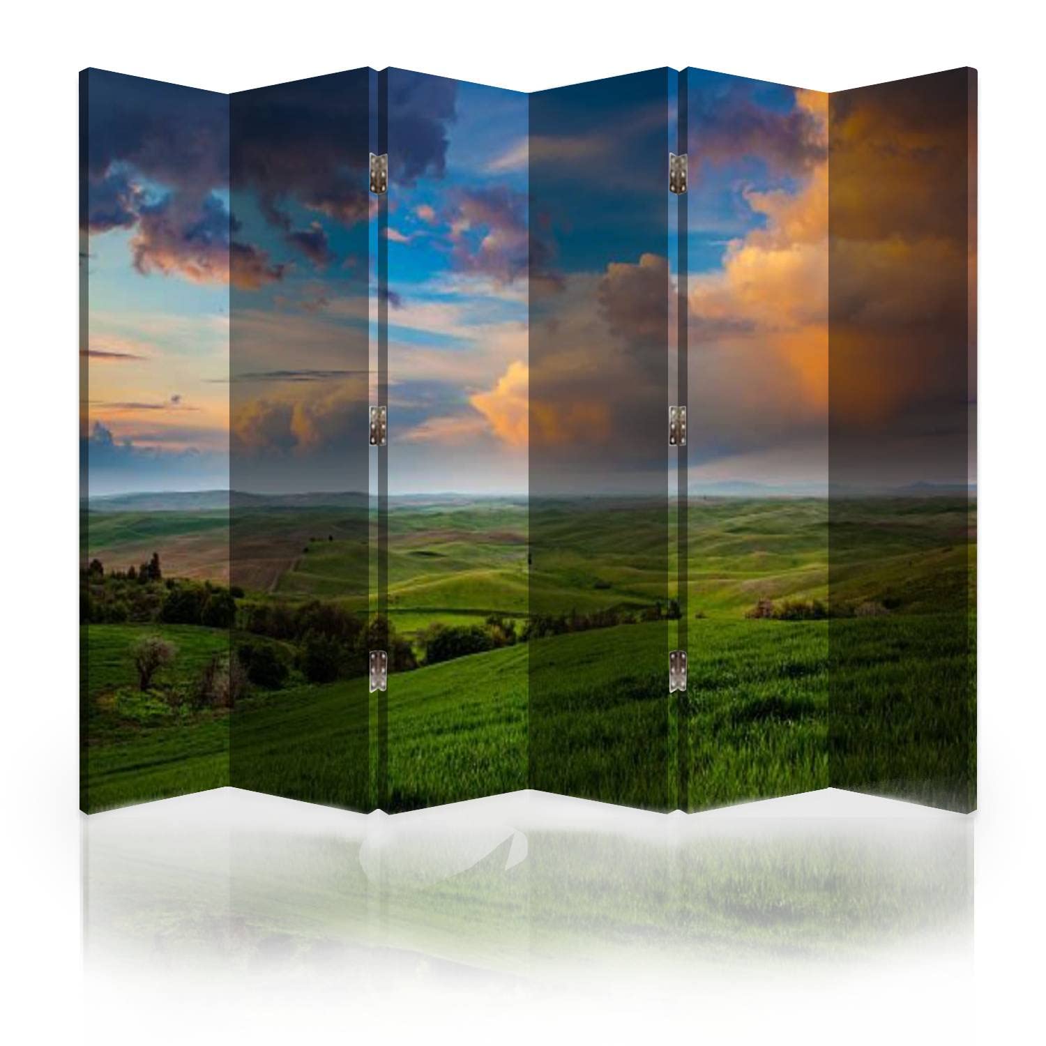 6-Panel Canvas Room Divider Screen - The Palouse Folding Privacy Partition for Home, Office & Events | Space Separator for Bedrooms, Living Rooms & Studios