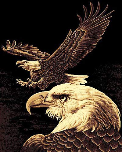 American Eagle Large Area Rug 5'3